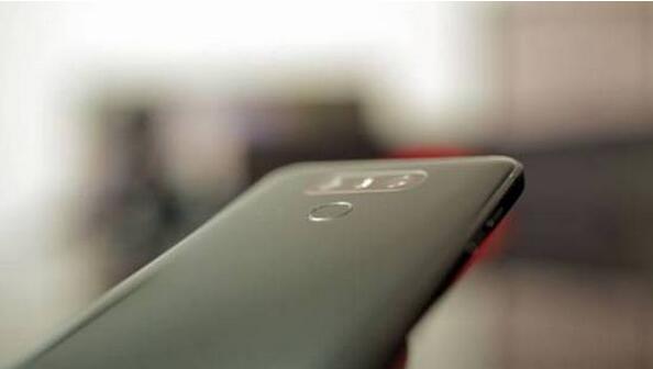 lg10.jpg