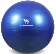 CAMEL駱駝運動瑜伽球A7S3D7104