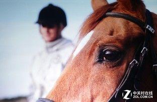 0.4投射比短焦直投 NEC教育投影評測