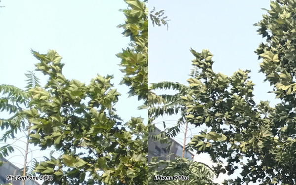 iPhone 7P拍照強?ZenFone 3尊爵不服