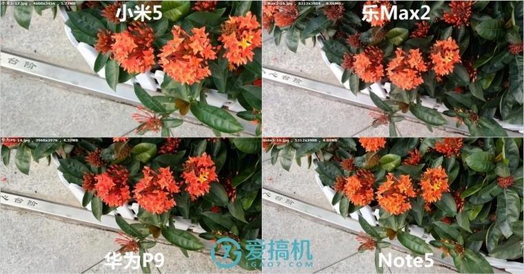樂Max2/華為P9/小米5/Note5拍照橫評：差距真大！