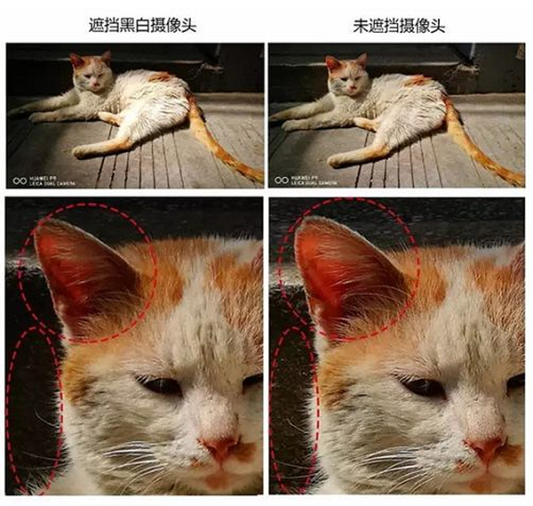 鏡頭對比