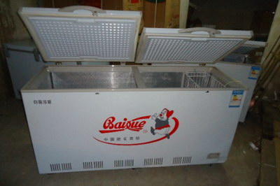 白雪冰柜推荐