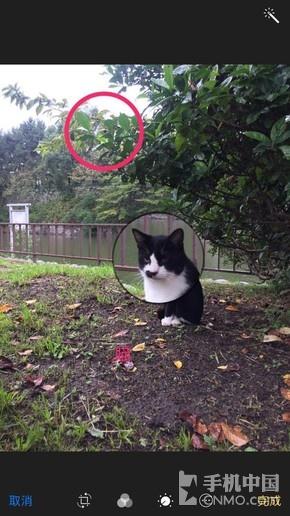 iOS 10相册增图像标示进口 你发现了吗