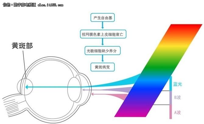 滤出有害蓝光 护眼更健康 