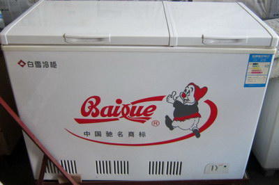 白雪冰柜推荐