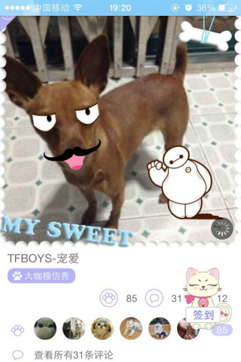 寵物社區App 創業模式 創業經驗