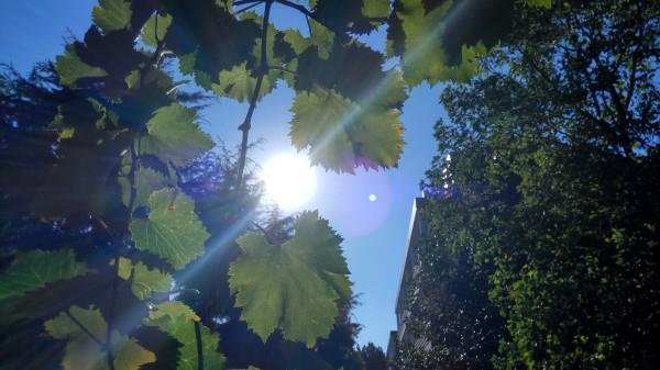 誰秒殺誰？聯想ZUK Z2大戰小米紅米Pro