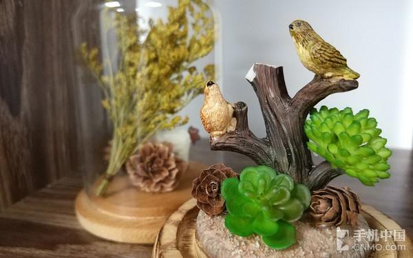 小米5s速評:性價比照舊/拍照提高顯著