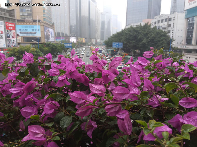 拍照對比：高通ISP更出色