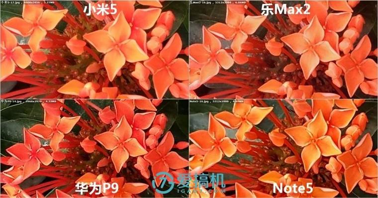 樂Max2/華為P9/小米5/Note5拍照橫評：差距真大！