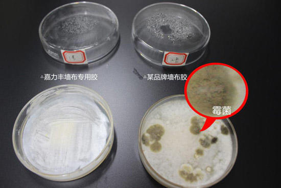嘉力豐墻布專用膠評測