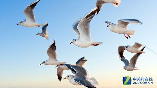 看球神器 TCL曲面C1电视评测怎么样质量好不