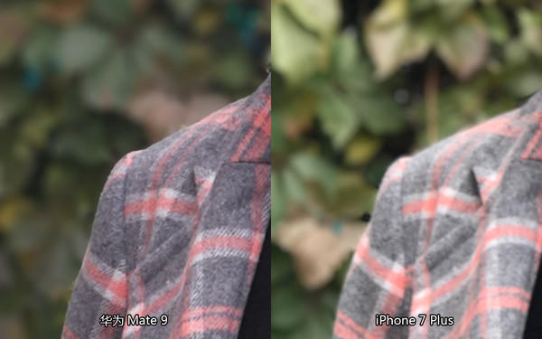 人像拍攝對(duì)比