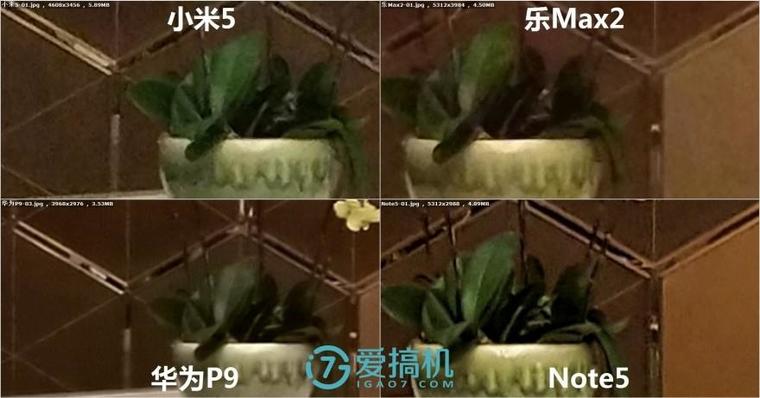 樂Max2/華為P9/小米5/Note5拍照橫評：差距真大！