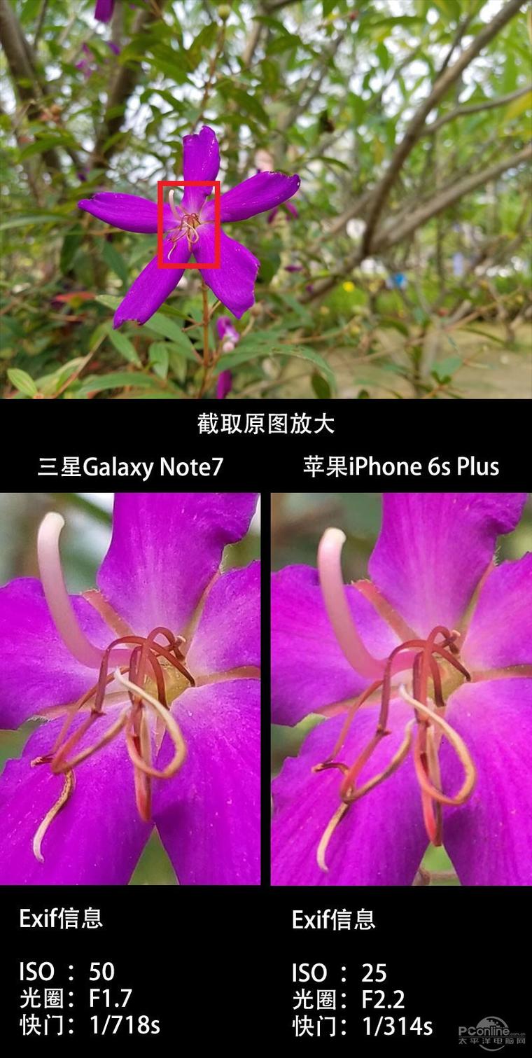 三星Note7、iPhone 6S Plus拍照對比測試：差距驚人