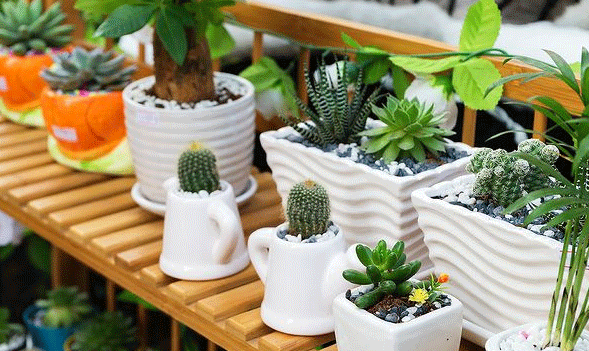 沒(méi)有想象的那么美:Sony 索尼 QX1L鏡頭相機(jī)評(píng)測(cè)