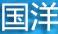 國(guó)洋