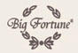 BigFortune