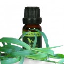 美国VZI柠檬草精油Lemongrass10mL单方精油清除粉刺平衡油脂改善毛孔粗大振奋情绪