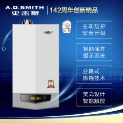 A.O.史密斯 L1PB33-G 主动防护 安全升级 全方位保障系统高效运行防一氧化碳中毒 燃气采暖/热水 两用壁挂炉（智能保养提示型） 33KW