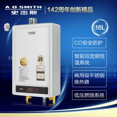 A.O.史密斯JSQ33-ES/ESX防一氧化碳中毒商用级不锈钢换热器燃气热水器16升