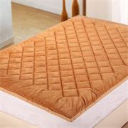 凤千儿家纺加厚保暖珊瑚绒床垫单人双人床垫可折叠床褥绝不掉毛YHRM001