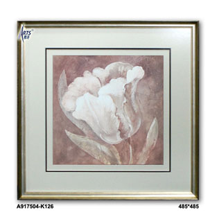 装饰画(花卉)A917504-K.485*485