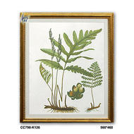 装饰画(植物)CC798-K.560*460