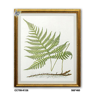 裝飾畫(植物)CC799-K.560*460