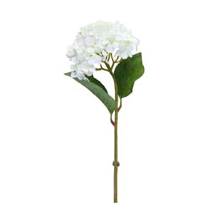 MTF1201-1-0183單枝2葉繡球花E2188CREAM