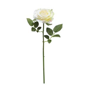 MTF-RF7926CR/PE