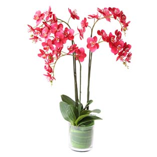 仿真花MTF-BL1506004