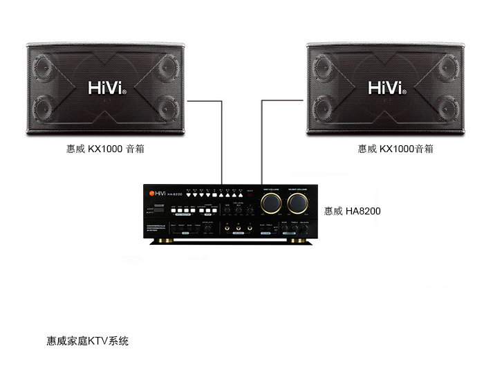 HiVi惠威家用卡拉OK系统含音响功放无线话筒