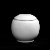 (2010130010)酸奶罐