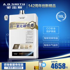 A.O.史密斯16升TM美國專利防煤氣中毒燃氣熱水器強排型