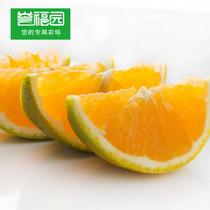譽福園秭歸夏橙臍橙5kg裝單果果徑65一75酸甜口感適合榨汁買就送榨汁器5000g