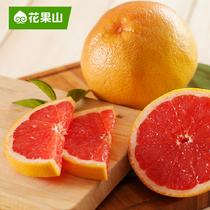 花果山南非進口紅西柚8個裝8個裝