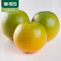 譽(yù)福園秭歸夏橙臍橙2.5kg裝單果果徑65一75酸爽可口適合榨汁2.5kg