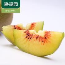 譽(yù)福園預(yù)售四川蒲江紅心獼猴桃奇異果24枚裝單果70一90g8月15日陸續(xù)發(fā)貨24枚