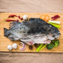 海買海參斑整條1500g