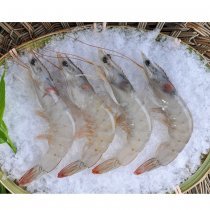 Talassa厄瓜多爾白蝦40/501.8kg