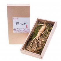 豫隆長白山生鮮單支人參100g