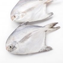 巨業(yè)平魚450g