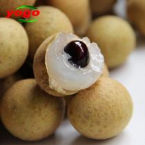 優(yōu)果優(yōu)選泰國(guó)進(jìn)口龍眼桂圓3Ａ大果3斤裝1.5kg