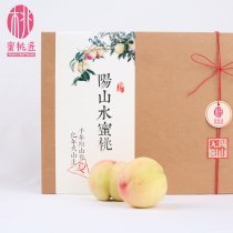 陽山【桃品會】陽山水蜜桃匠心蜜桃禮盒全國