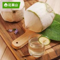 花果山香水泰國椰青4個裝進口椰子單果重0.9~1kg