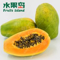 水果島特級牛奶木瓜3kg