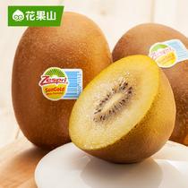 花果山佳沛22號新西蘭陽光金奇異果8個超大果146~175g