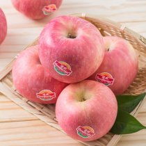 山東精品紅富士15粒禮盒4kg85-90